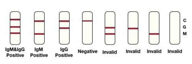 COVID-19 Antibody Diagnostic Kit -1